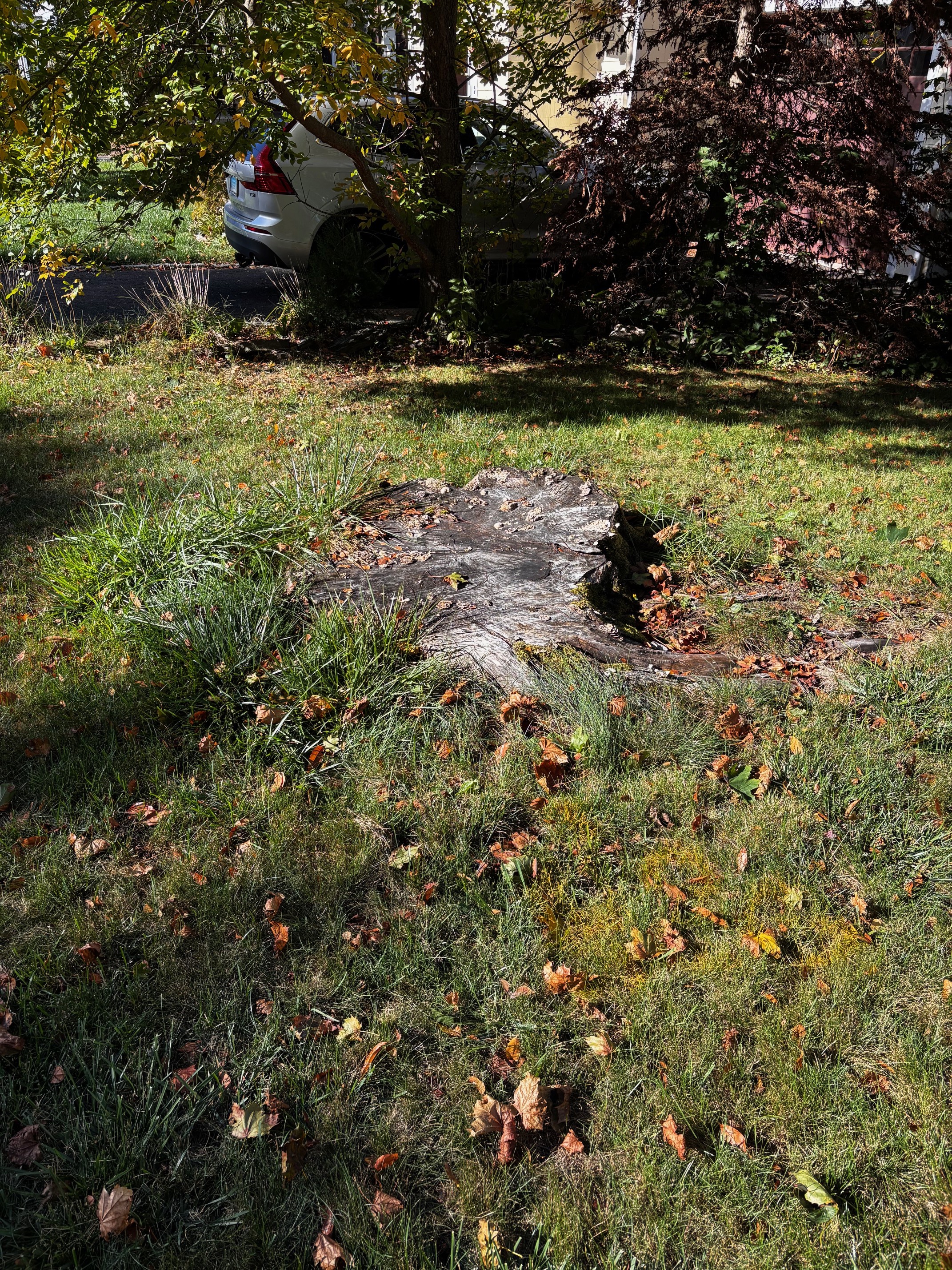 Review photo 1 from Karen