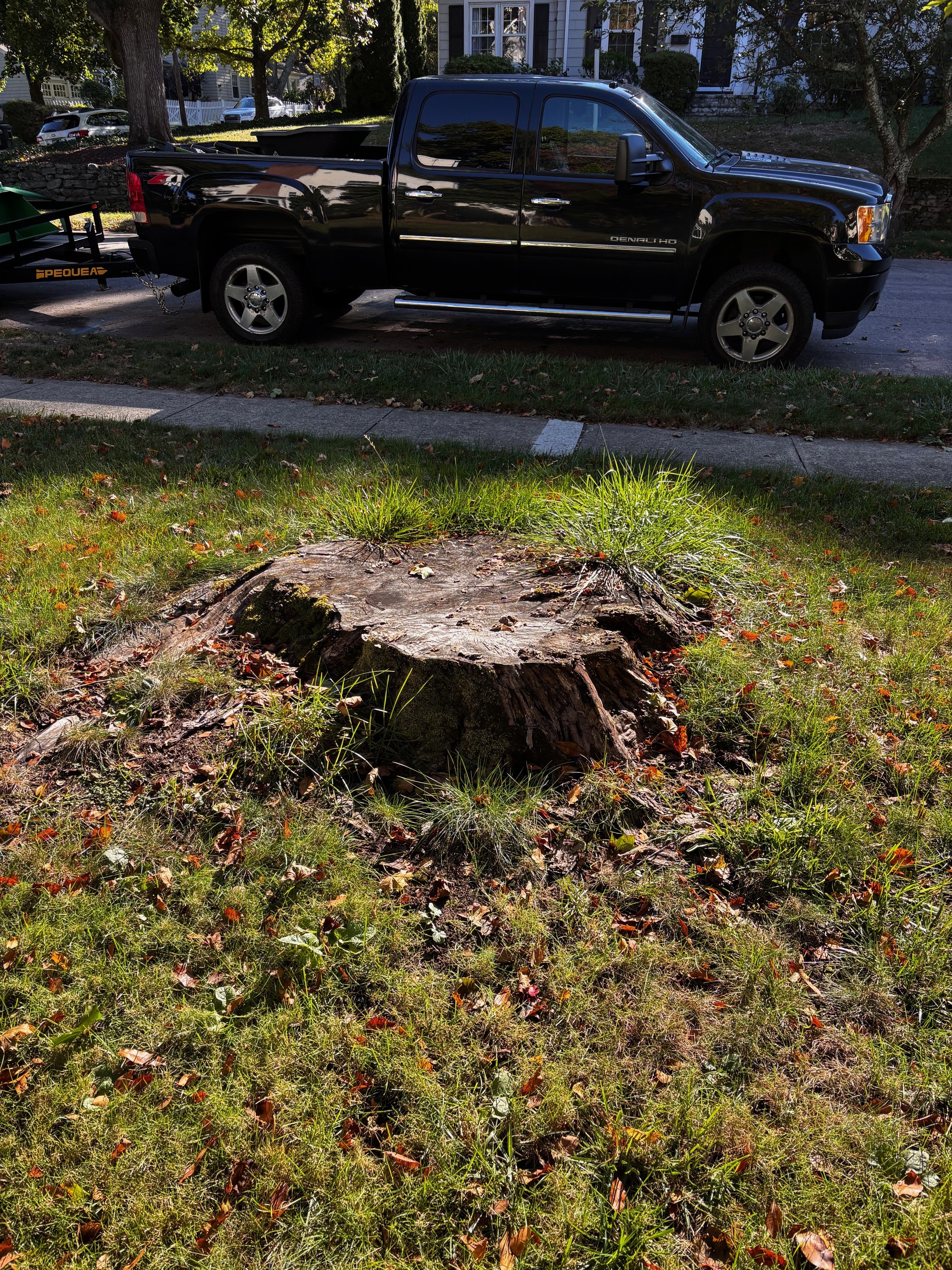 Review photo 2 from Karen