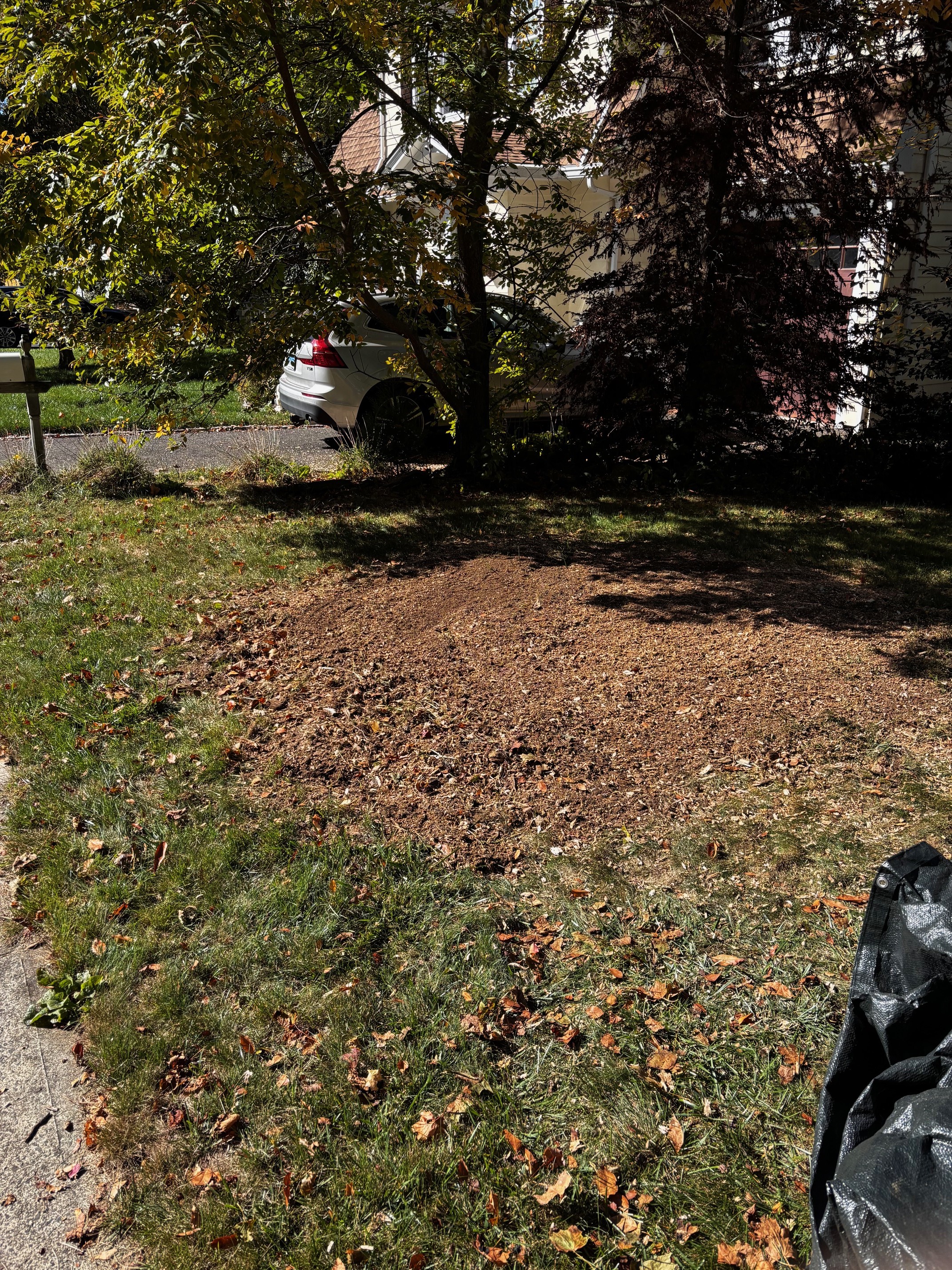 Review photo 3 from Karen